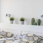 Torrecilla Apartmán